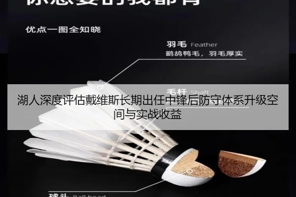 湖人深度评估戴维斯长期出任中锋后防守体系升级空间与实战收益
