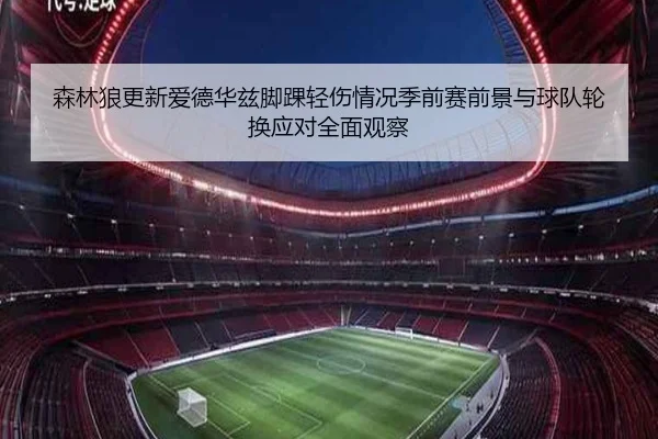 森林狼更新爱德华兹脚踝轻伤情况季前赛前景与球队轮换应对全面观察